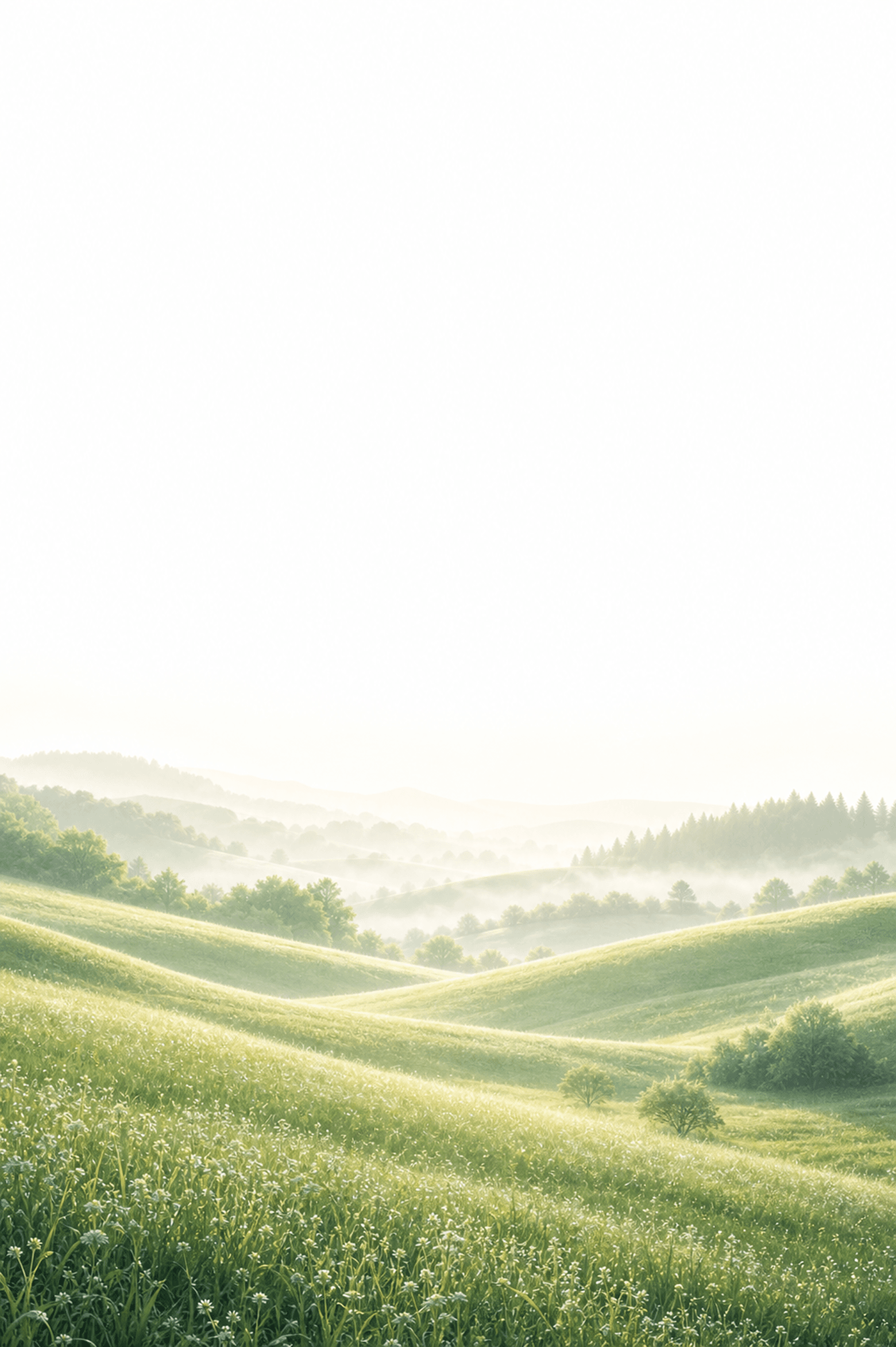 Misty rolling hills at sunrise